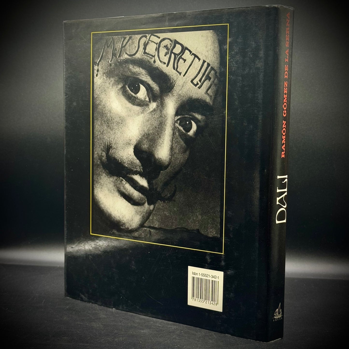 Vintage Salvador Dali Fine Art Book