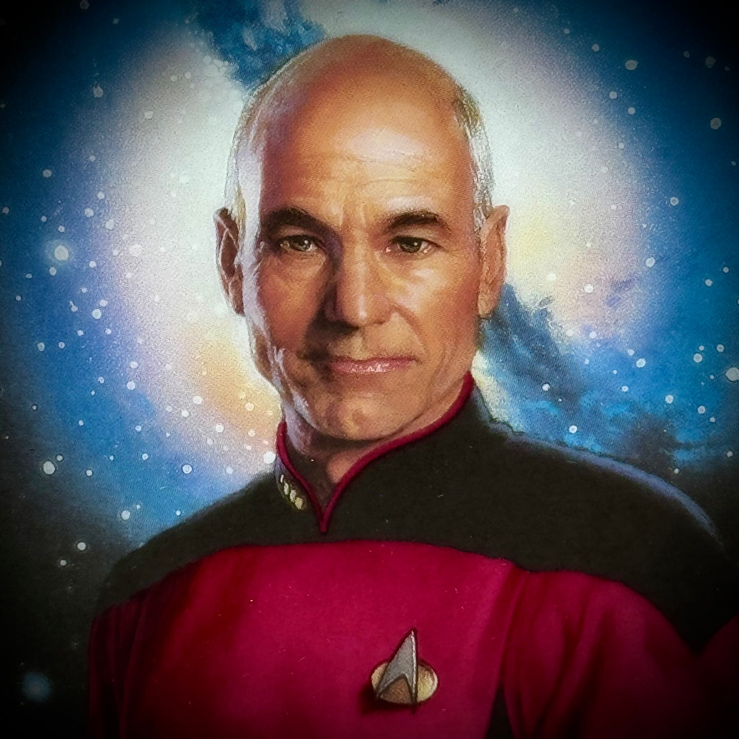 Star Trek: The Next Generation "Captain Picard" Collectors Plate