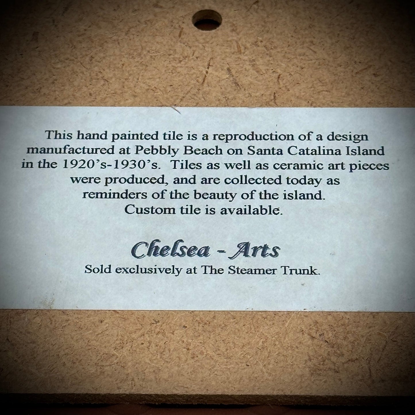 Vibrant Santa Catalina Pottery Tile/Trivet