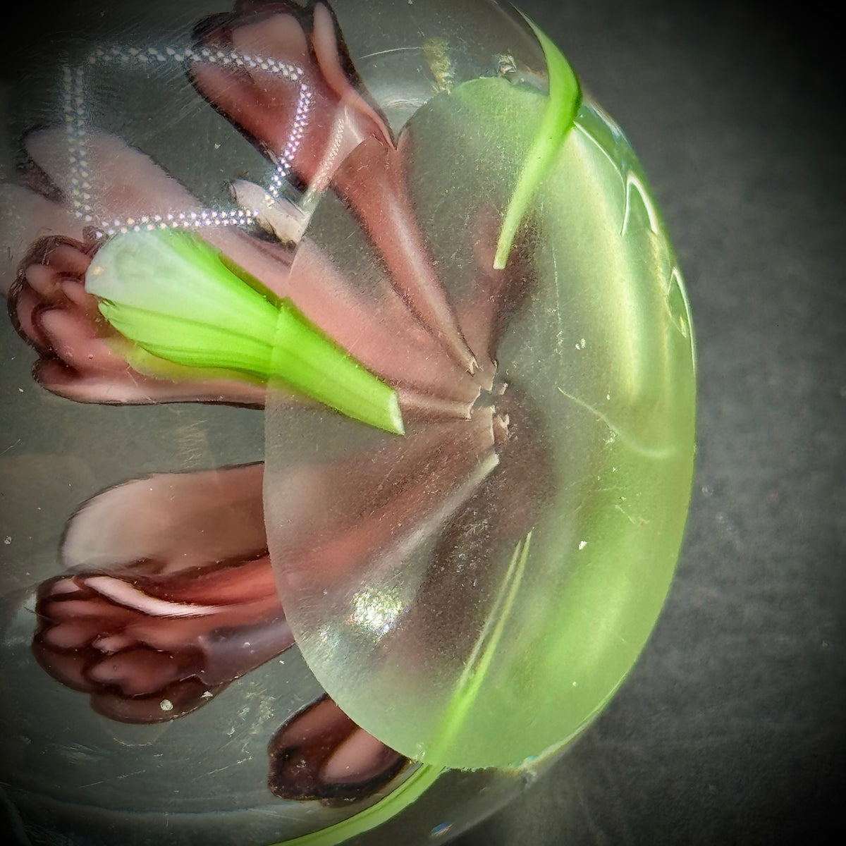 Flower Motif Glass Paperweight