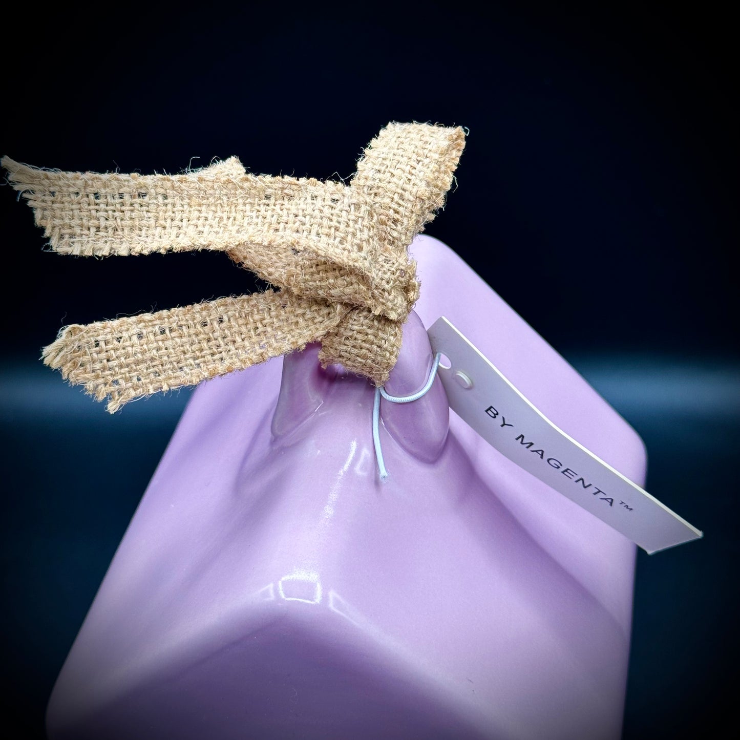 New with Tag Rae Dunn Artisan Collection by Magenta "Occupied" Lavender Birdhouse