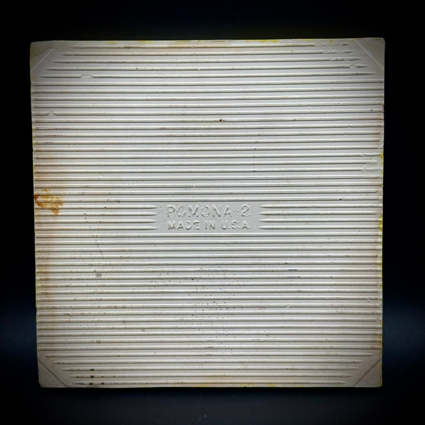 RARE 1950s Vintage Hand Painted Pomona Tile/Trivet