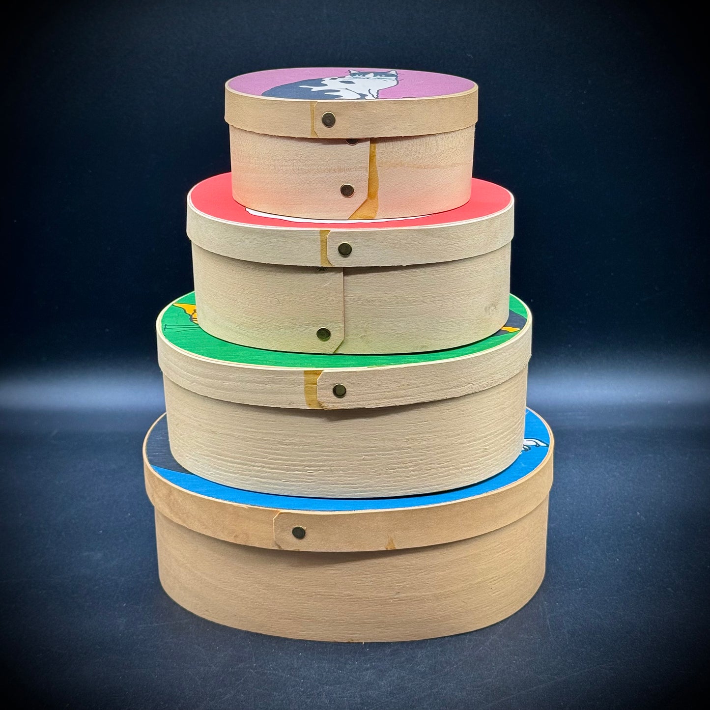 Amazing 4-Tier Cat Motif Shaker Nesting Box Set