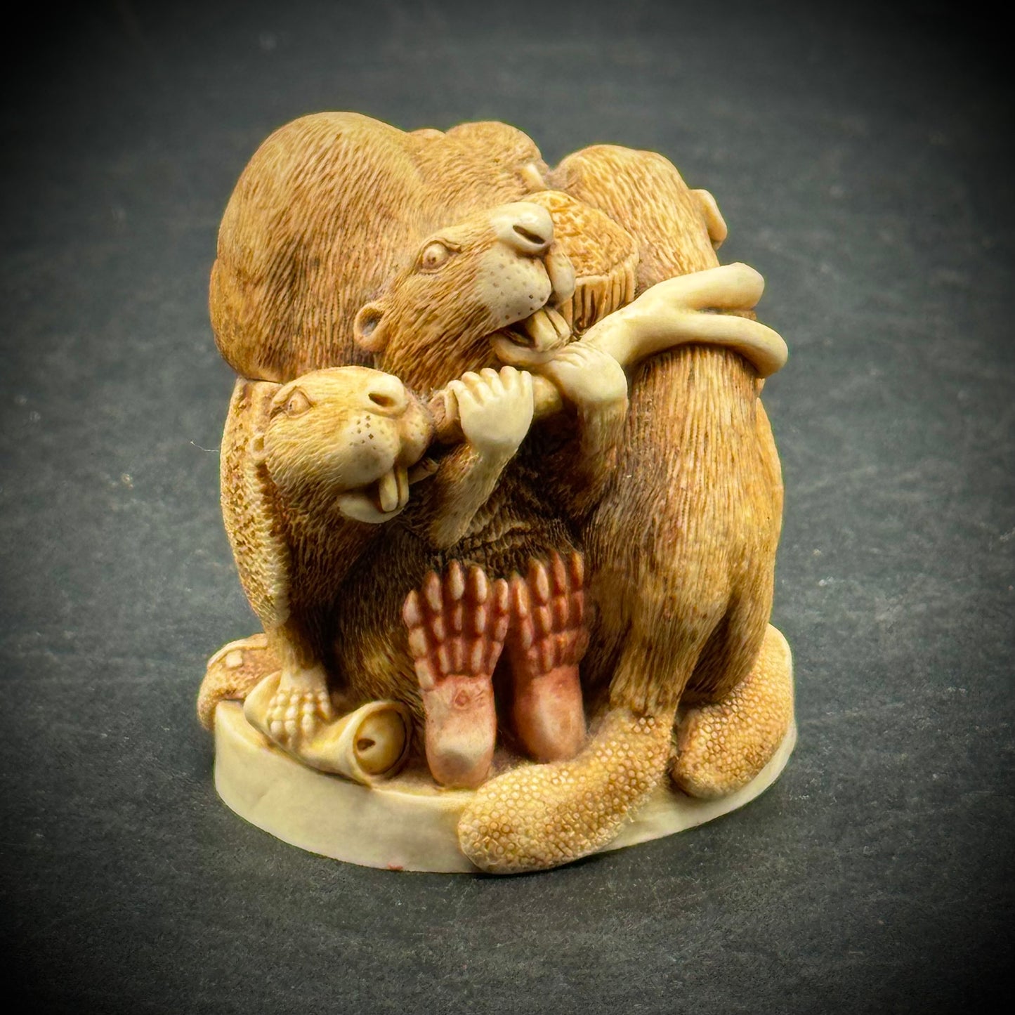 Harmony Kingdom "Beavers" Lidded Trinket Box