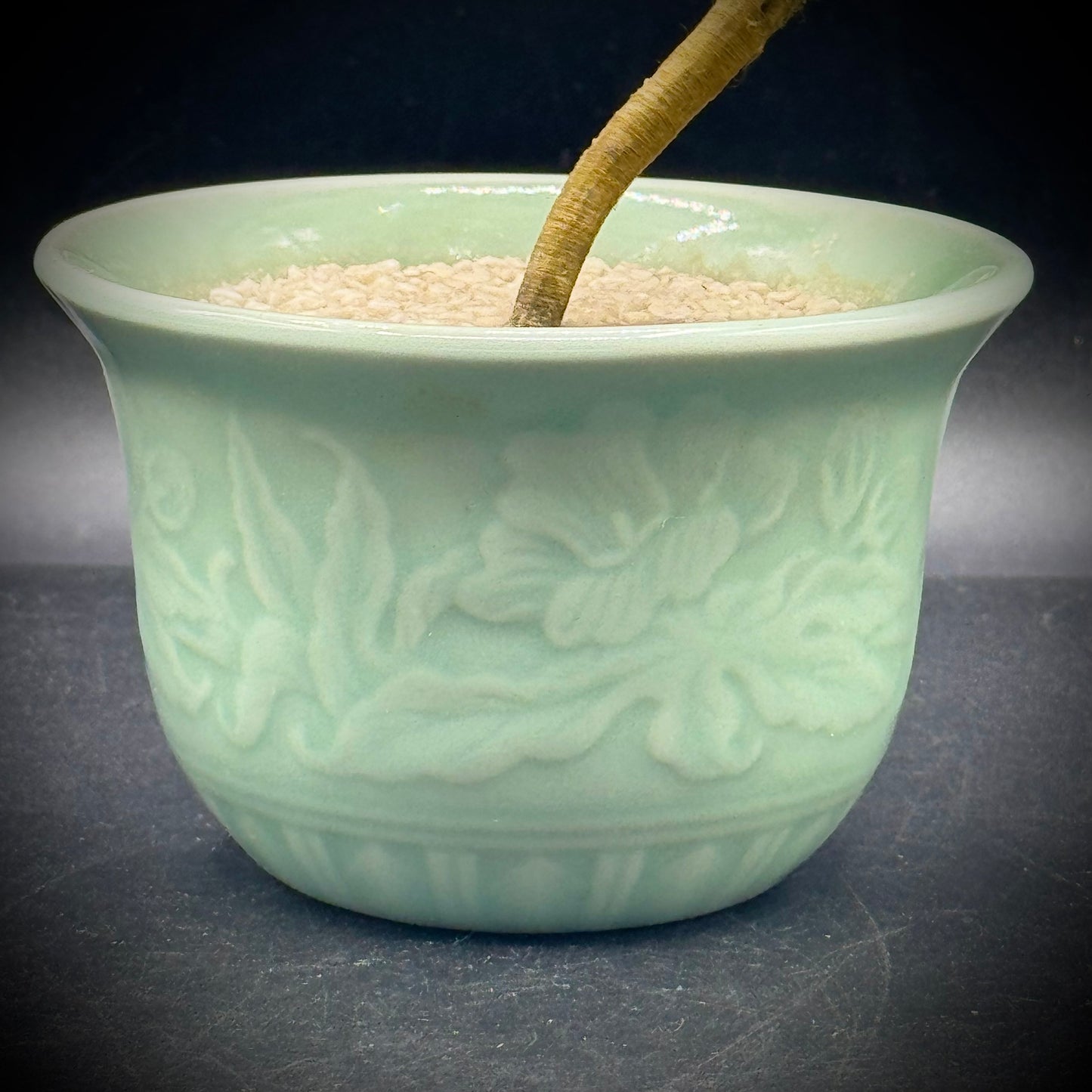 Celadon Asian Bonsai Flower Display
