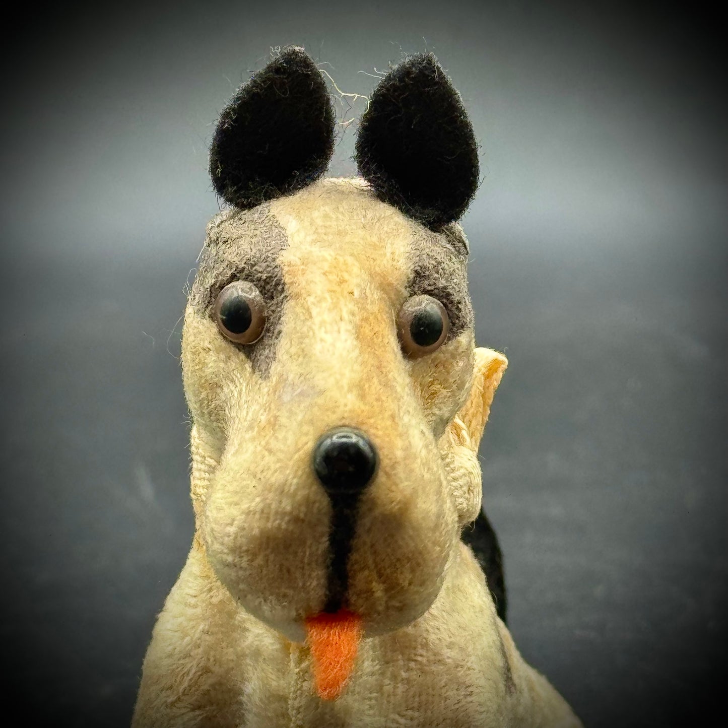 RARE Antique Flocked Fripon Fox Terrier
