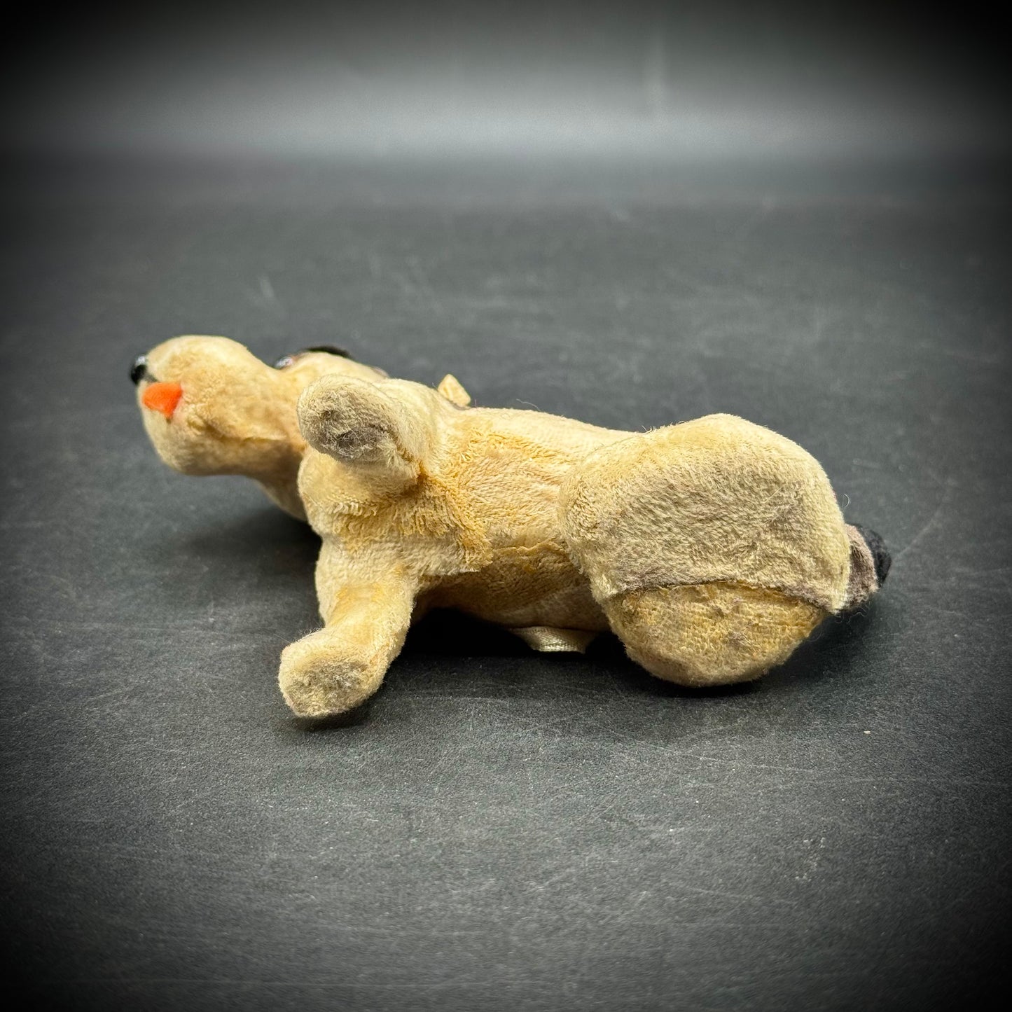 RARE Antique Flocked Fripon Fox Terrier