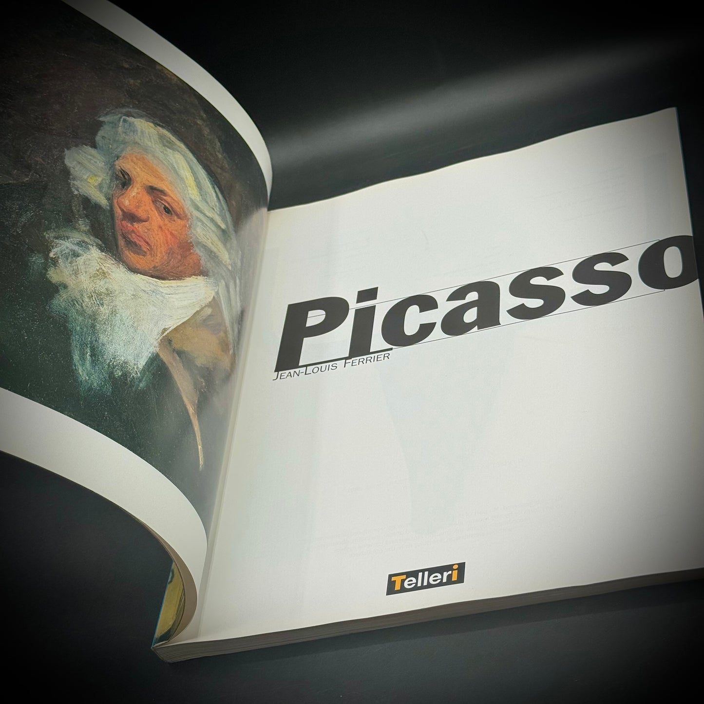 Pablo Picasso Fine Art Book - Printed in Italy
