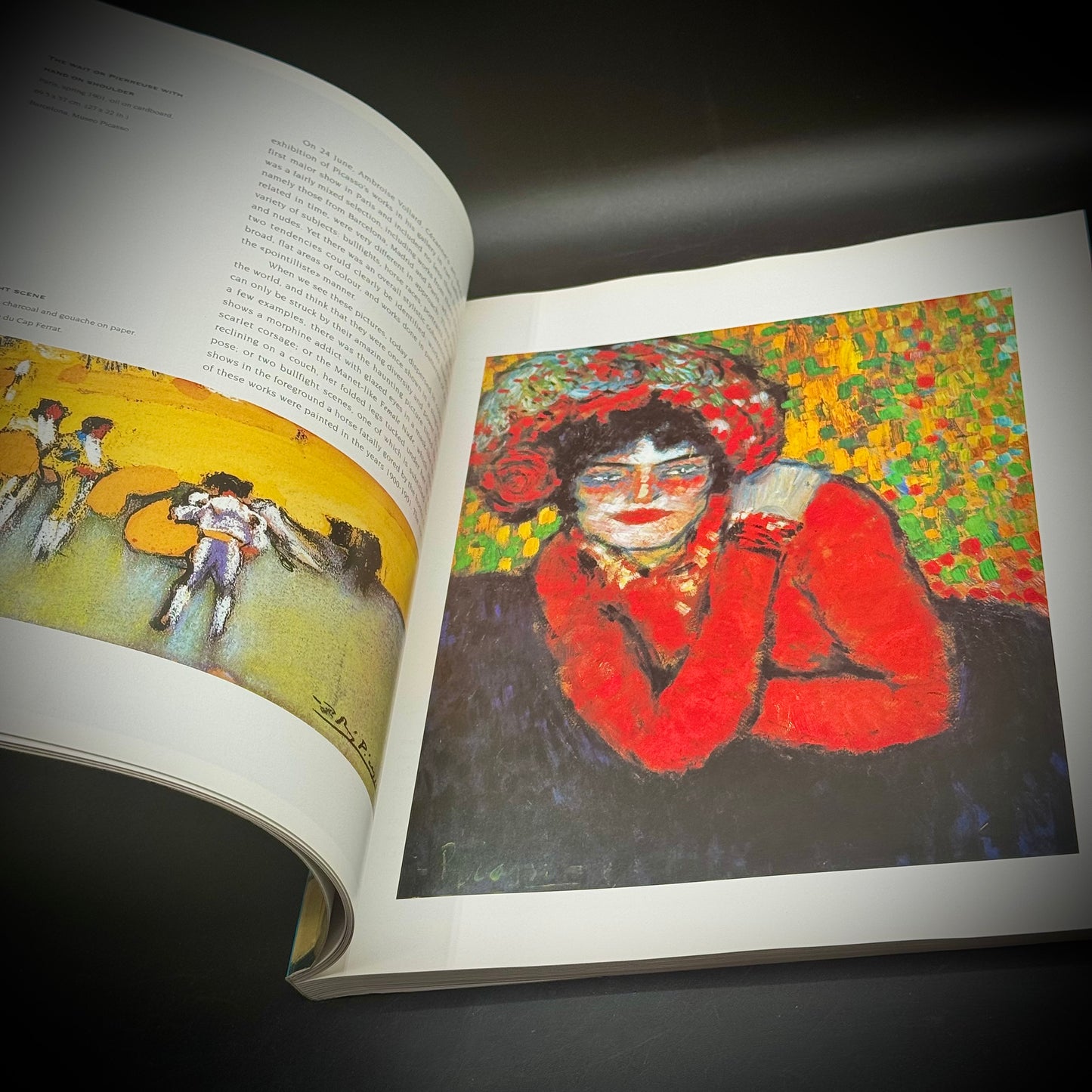 Pablo Picasso Fine Art Book - Printed in Italy