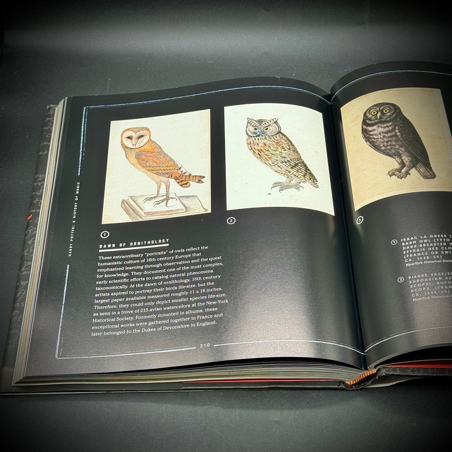 Harry Potter "A History of Magic" Art Book