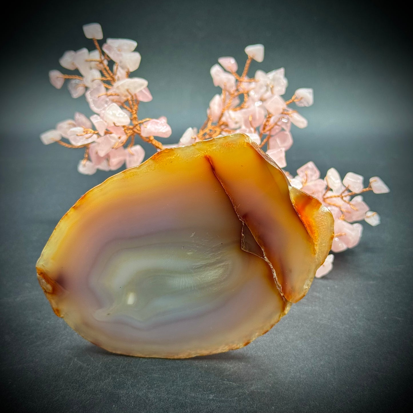 Rose Quartz Tree with Agate Stone Base