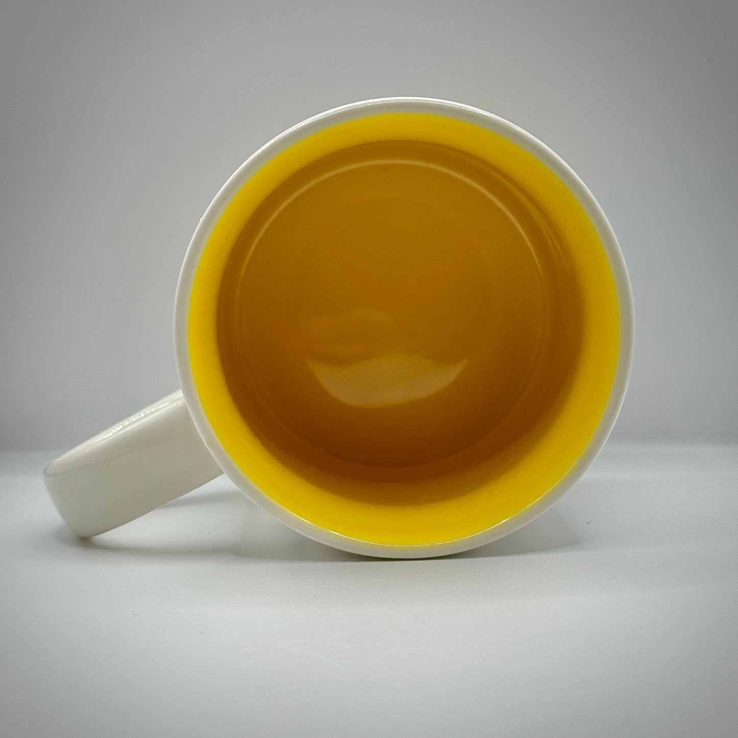 Starbucks You Are Here Series "Florida" Collectable Mug