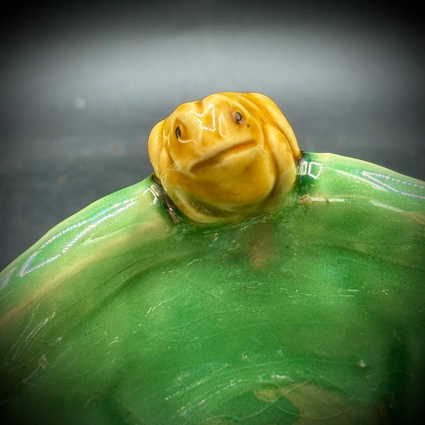 Majolica Six Frog Motive Planter Bowl