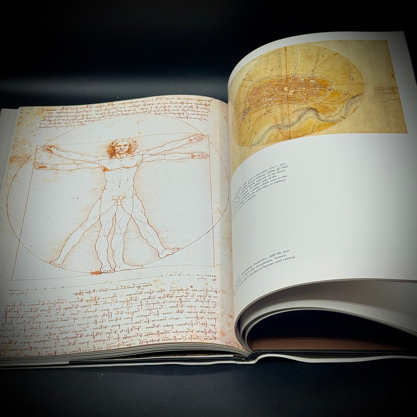 Vintage Large Leonardo da Vinci Fine Art Book