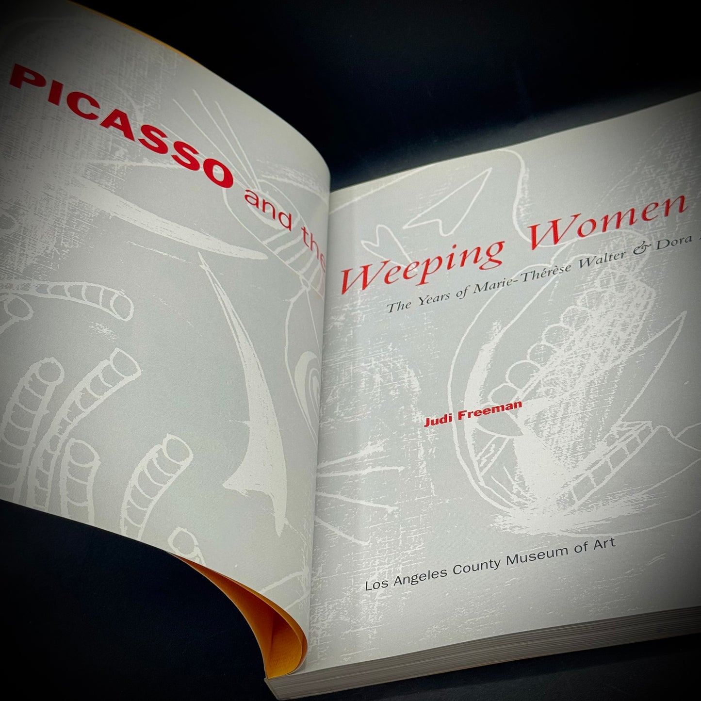 Pablo Picasso and The Weeping Women Fine Art Book
