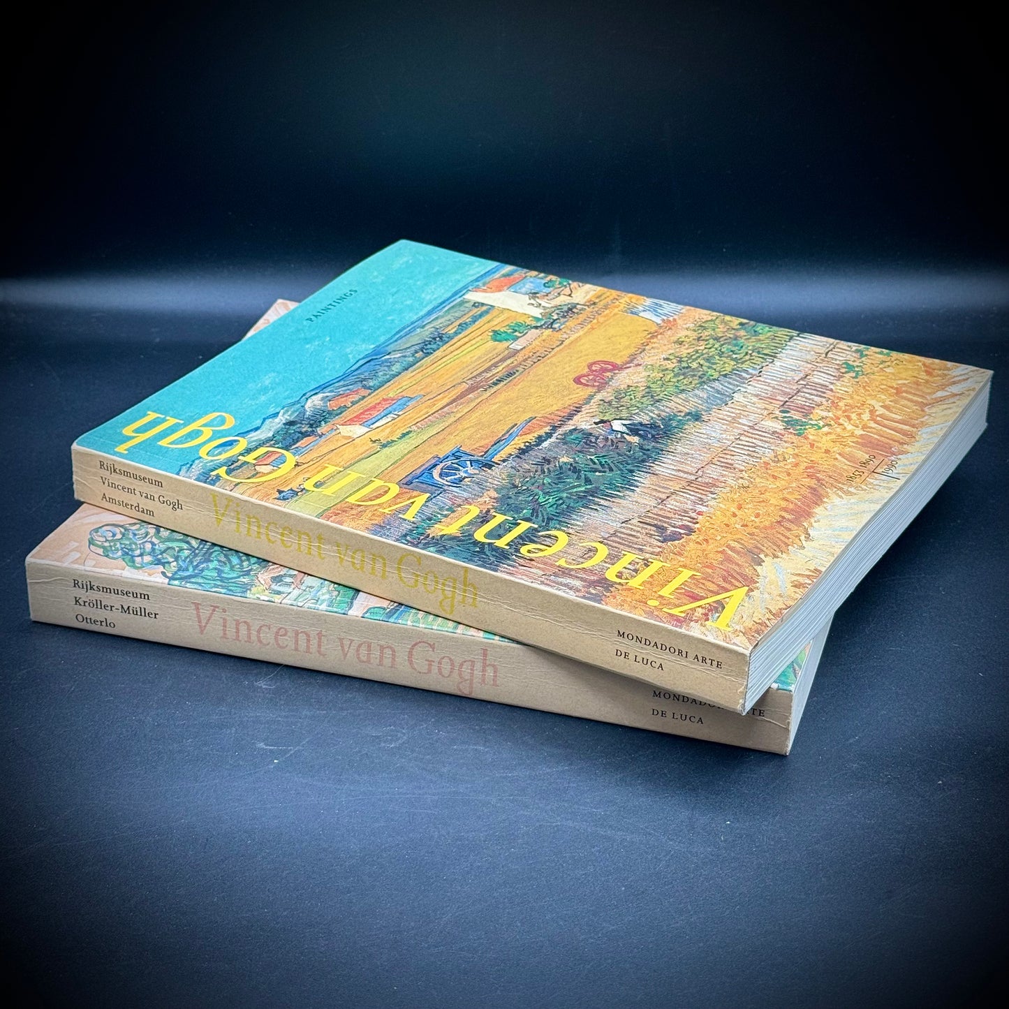 RARE 2 Volume Vintage Vincent Van Gogh Fine Art Book Set - Printed in The Netherlands