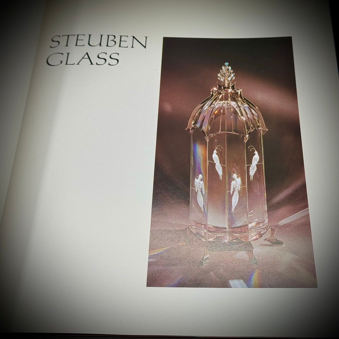 Signed Steuben Art Glass Sculpture with RARE Original 1982 Fine Art Photography Book