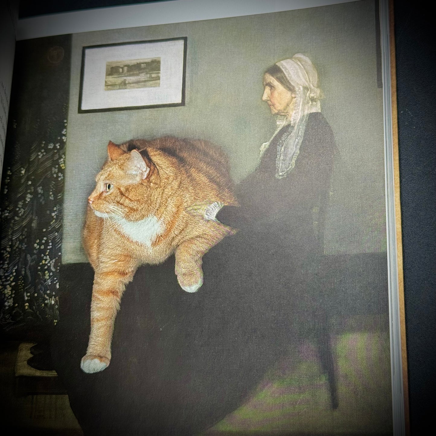 Whimsical & Funny "Fat Cat Art" Book