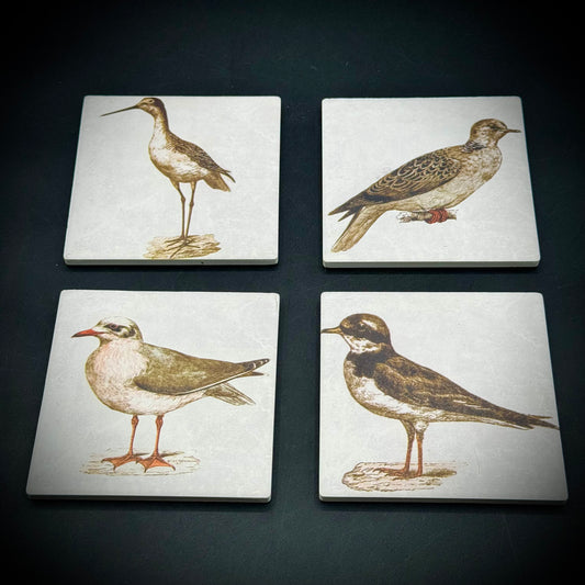 Set of Four Ceramic Sea Bird Tiles