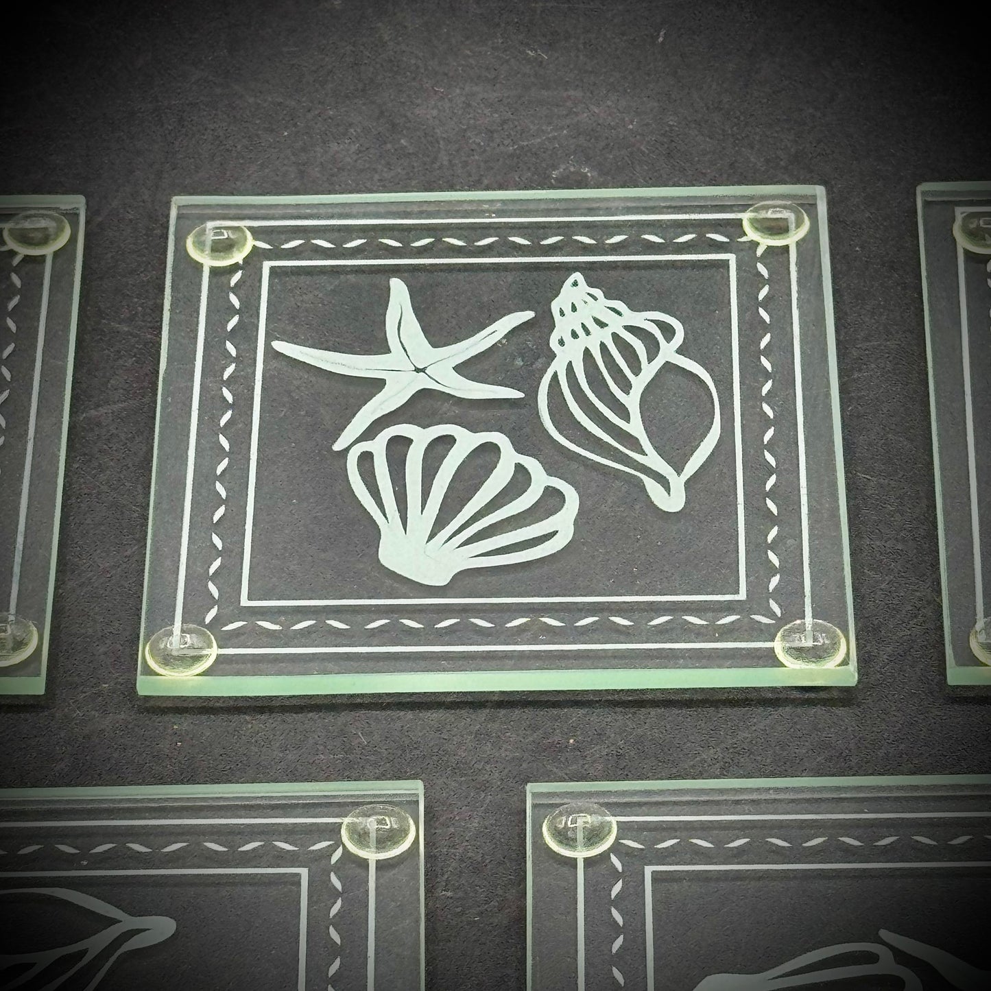 Set of 5 Sea Shell Motif Etched Glass Coasters