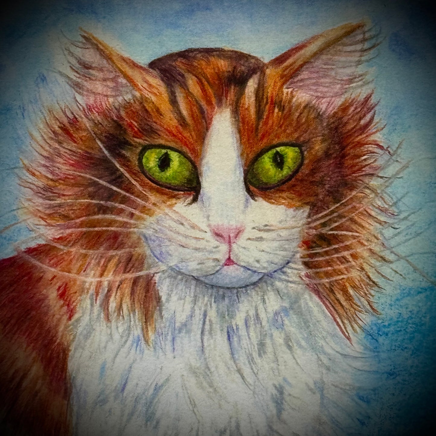 Hand Signed Original Colorful Cat Drawing