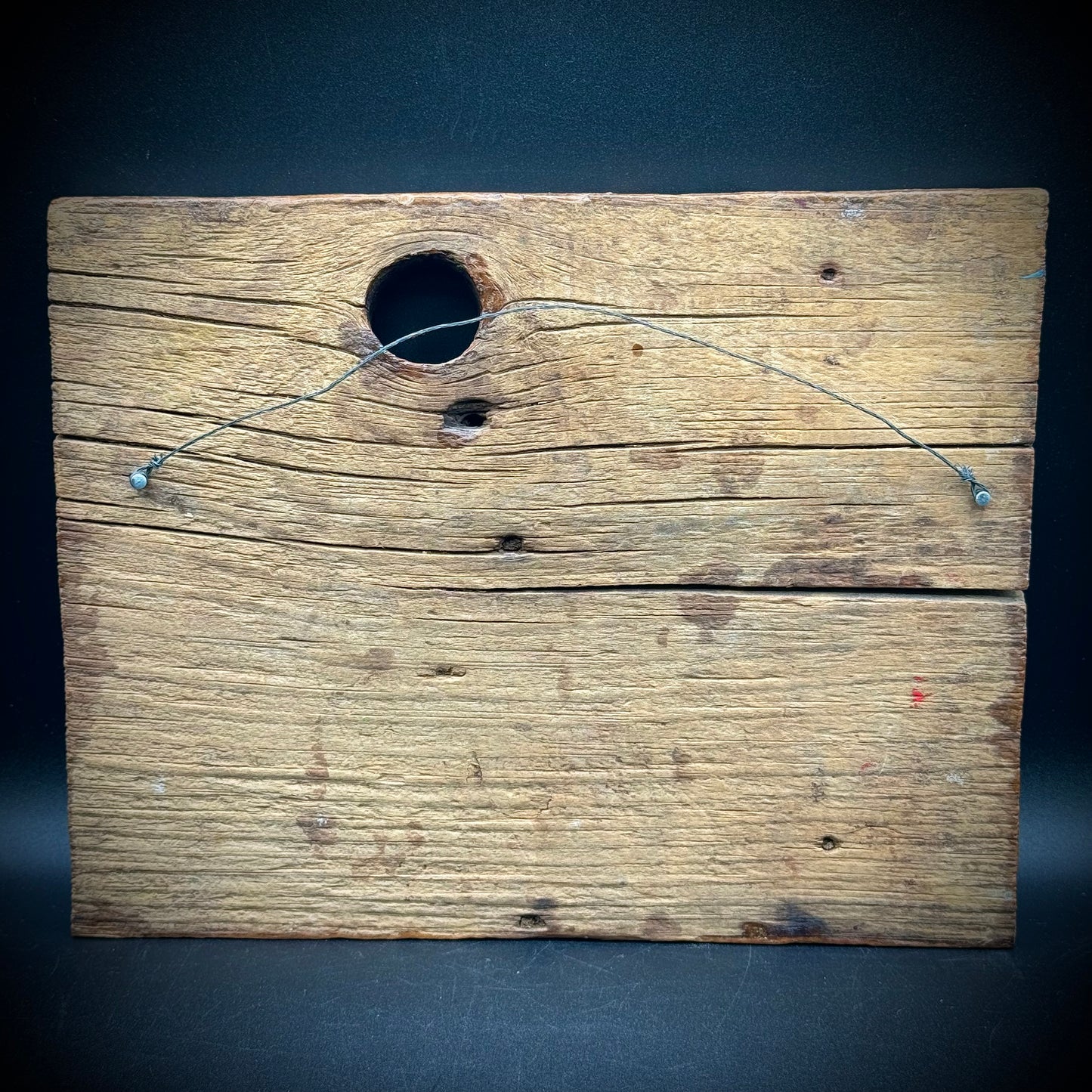 Artist JoAnn Ehlers Original Flowers on Wood with Natural Wood Knot