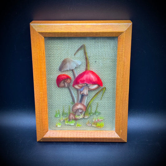 Artist JoAnn Ehlers 3D Mushroom on Glass Panes Framed Art