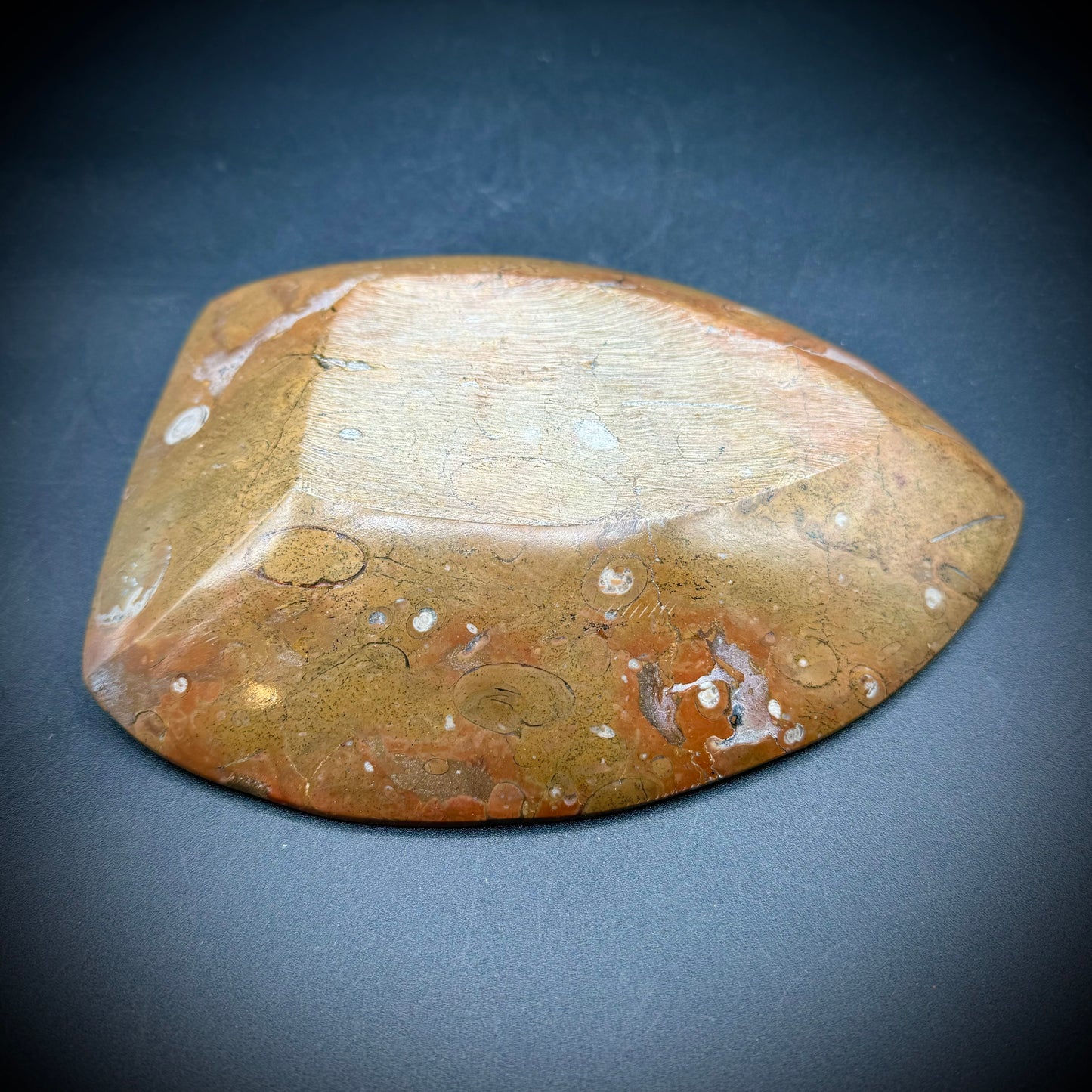 Large Carved & Polished Ammonite Fossil Dish