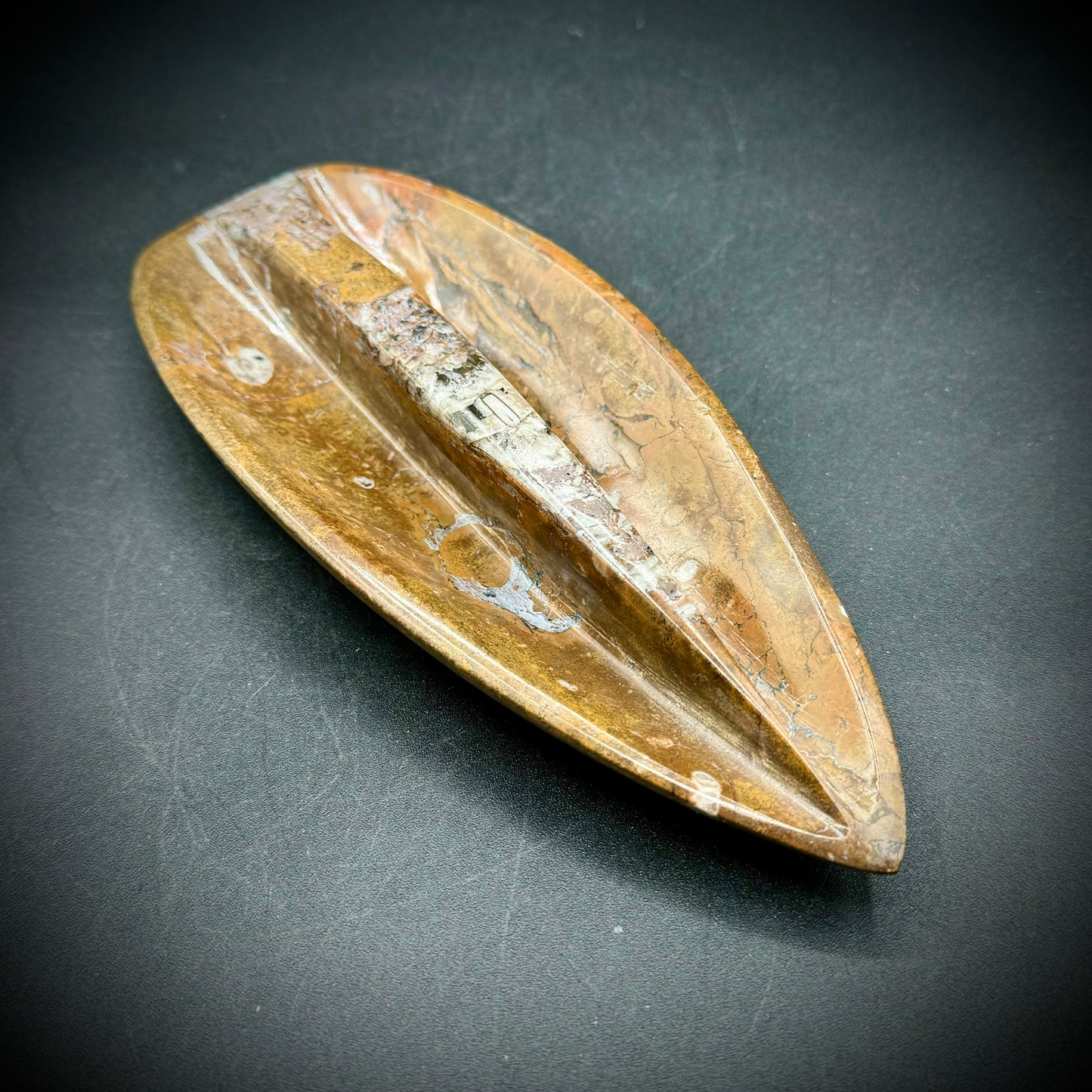 Long Carved & Polished Ammonite Fossil Dish