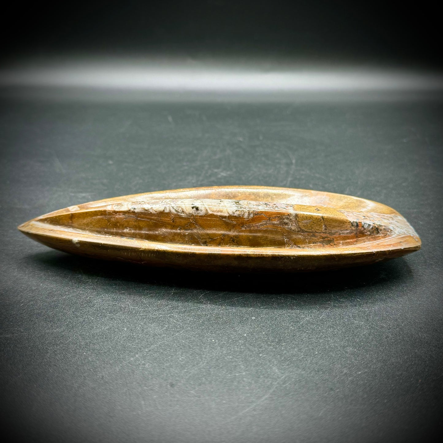 Long Carved & Polished Ammonite Fossil Dish