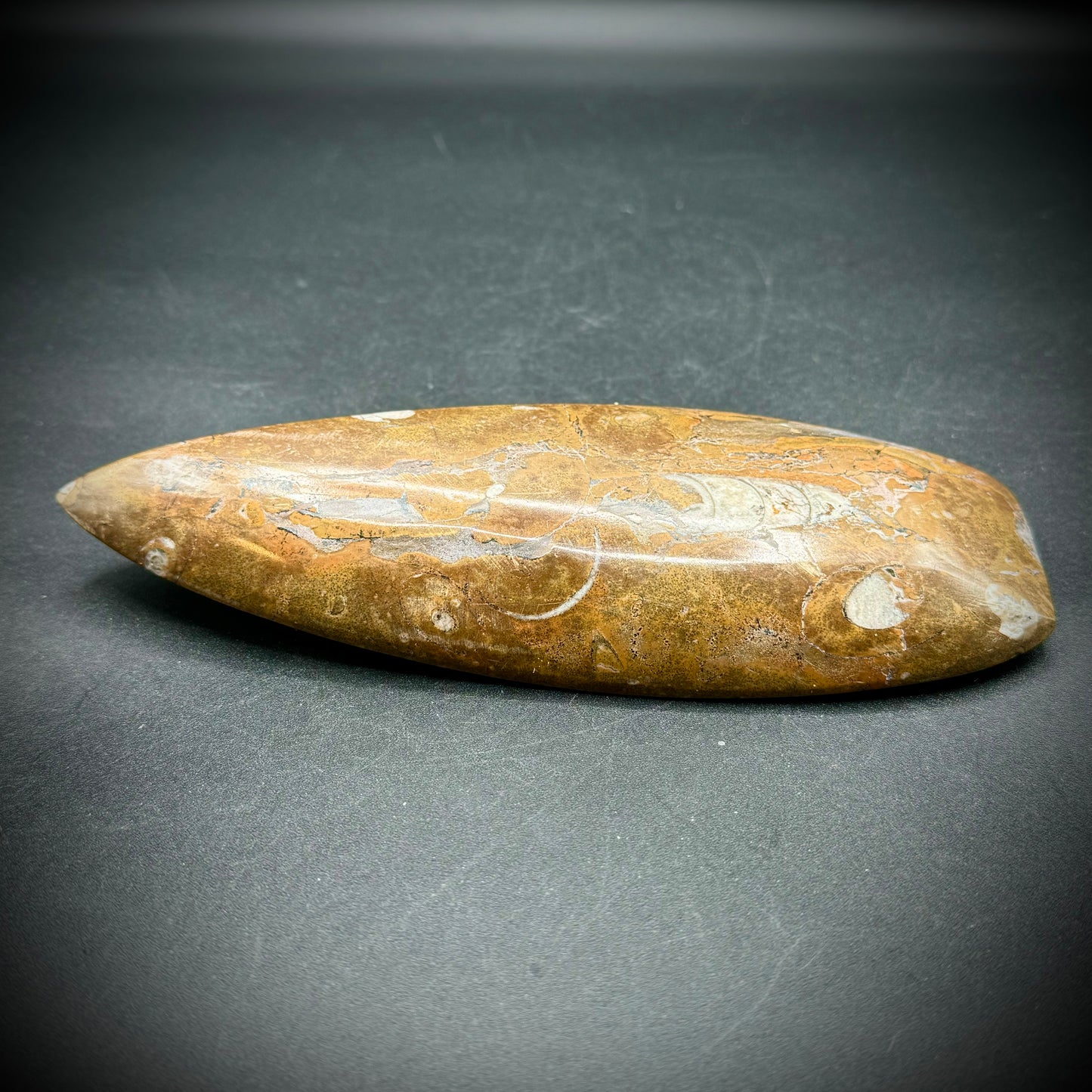 Long Carved & Polished Ammonite Fossil Dish