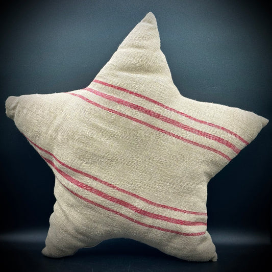 Primitive Star Shaped Pillow