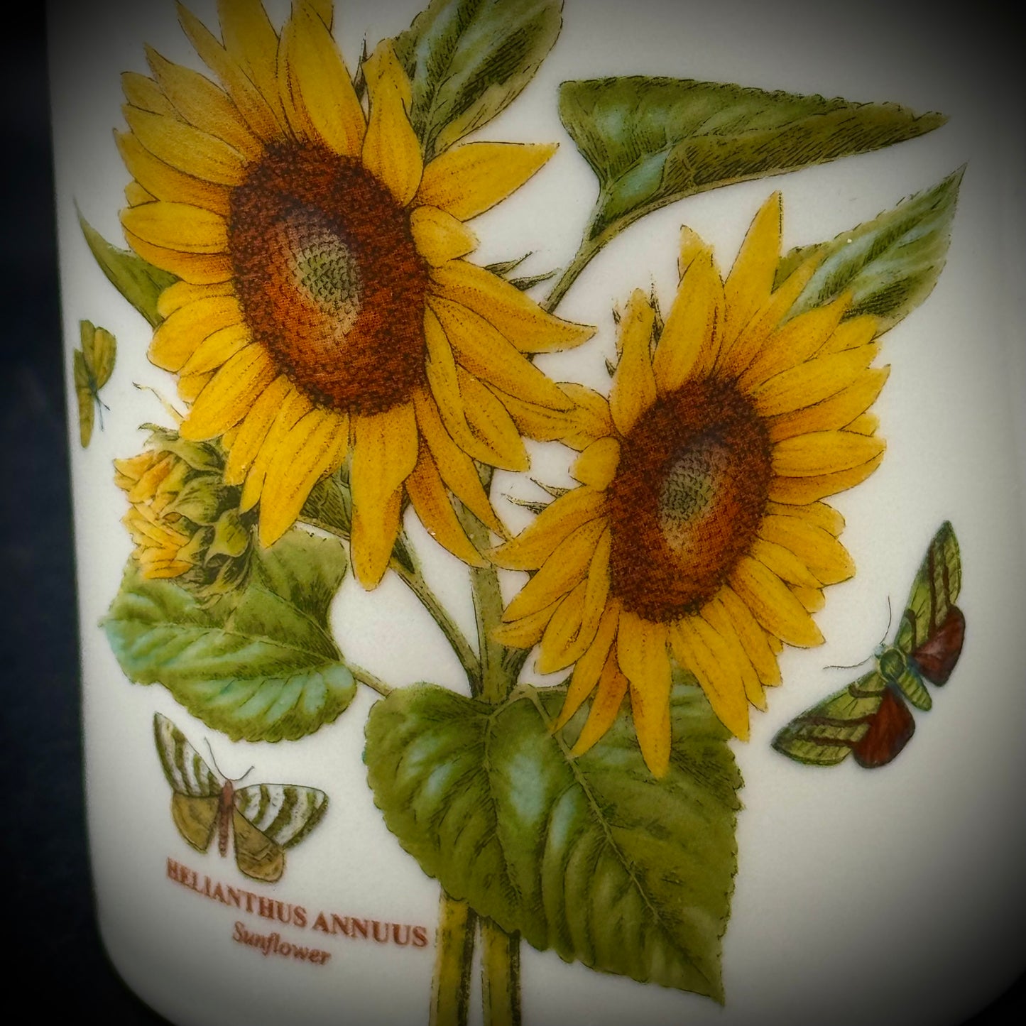 Portmeirion Sunflower & Butterfly Mug