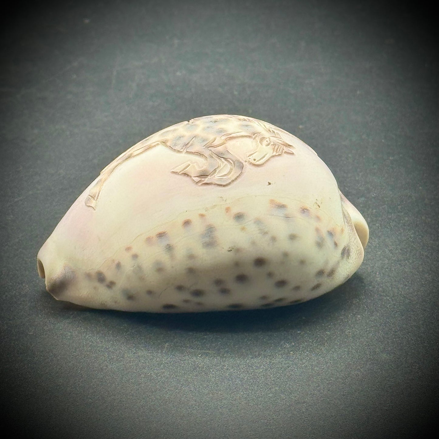 Carved Cowrie Shell with Pegasus Design