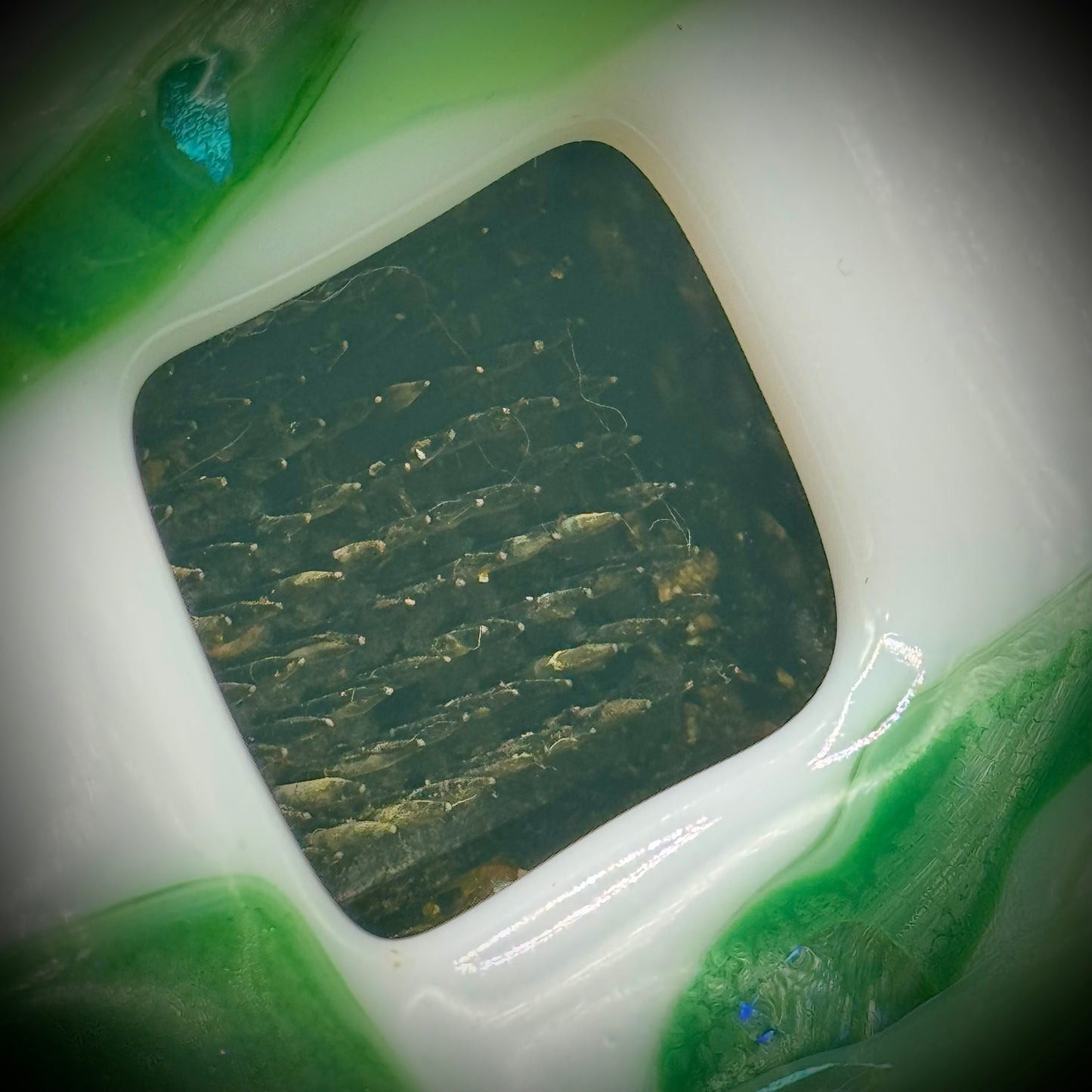 Fused Art Glass ikebana Flower Holder with Frog