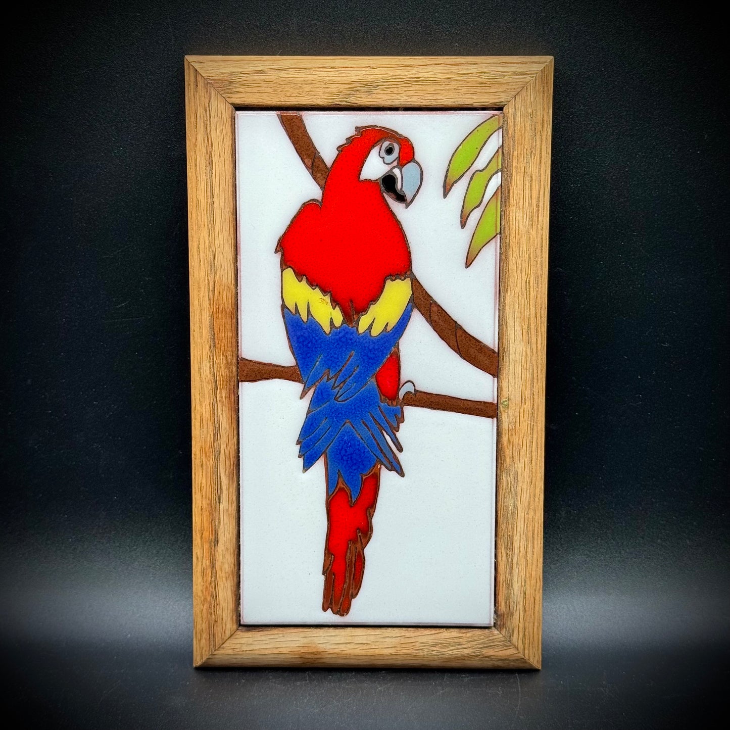 Hand Glazed Parrot Art Caprichio Tile