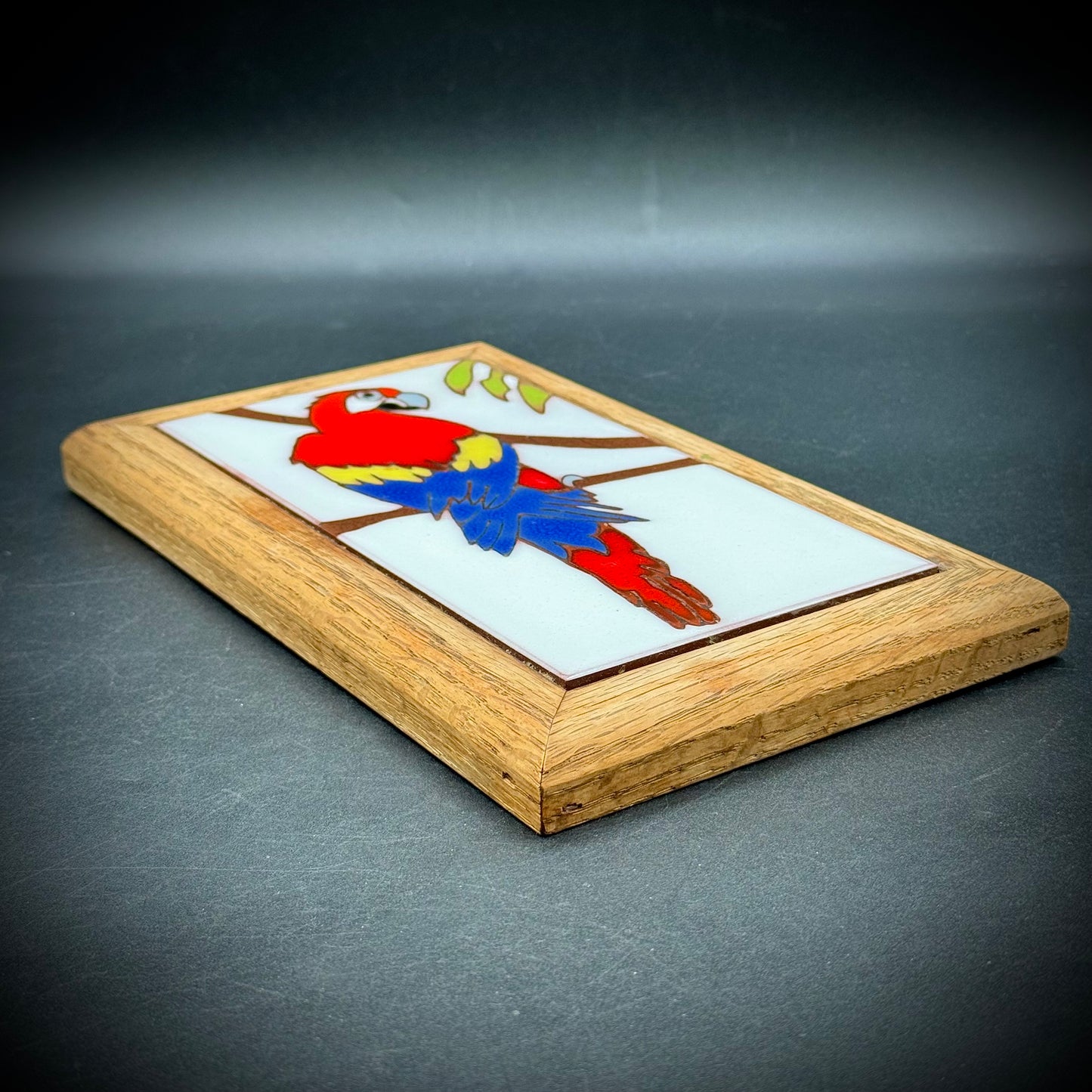 Hand Glazed Parrot Art Caprichio Tile