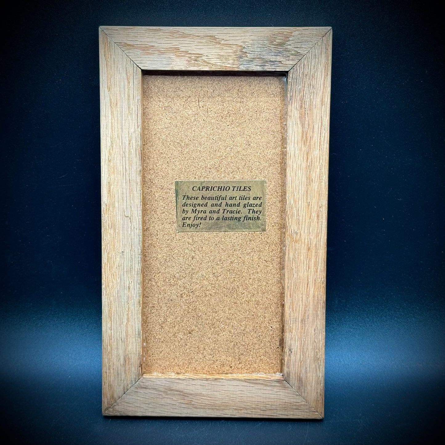 Hand Glazed Parrot Art Caprichio Tile