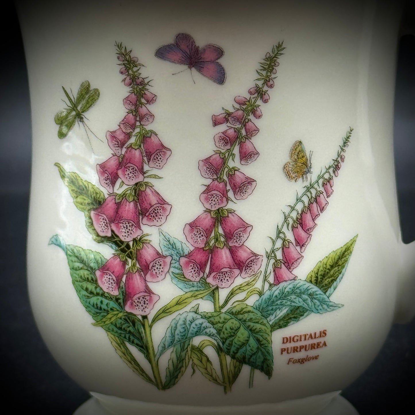 Portmeirion Botanic Garden Foxglove Mug