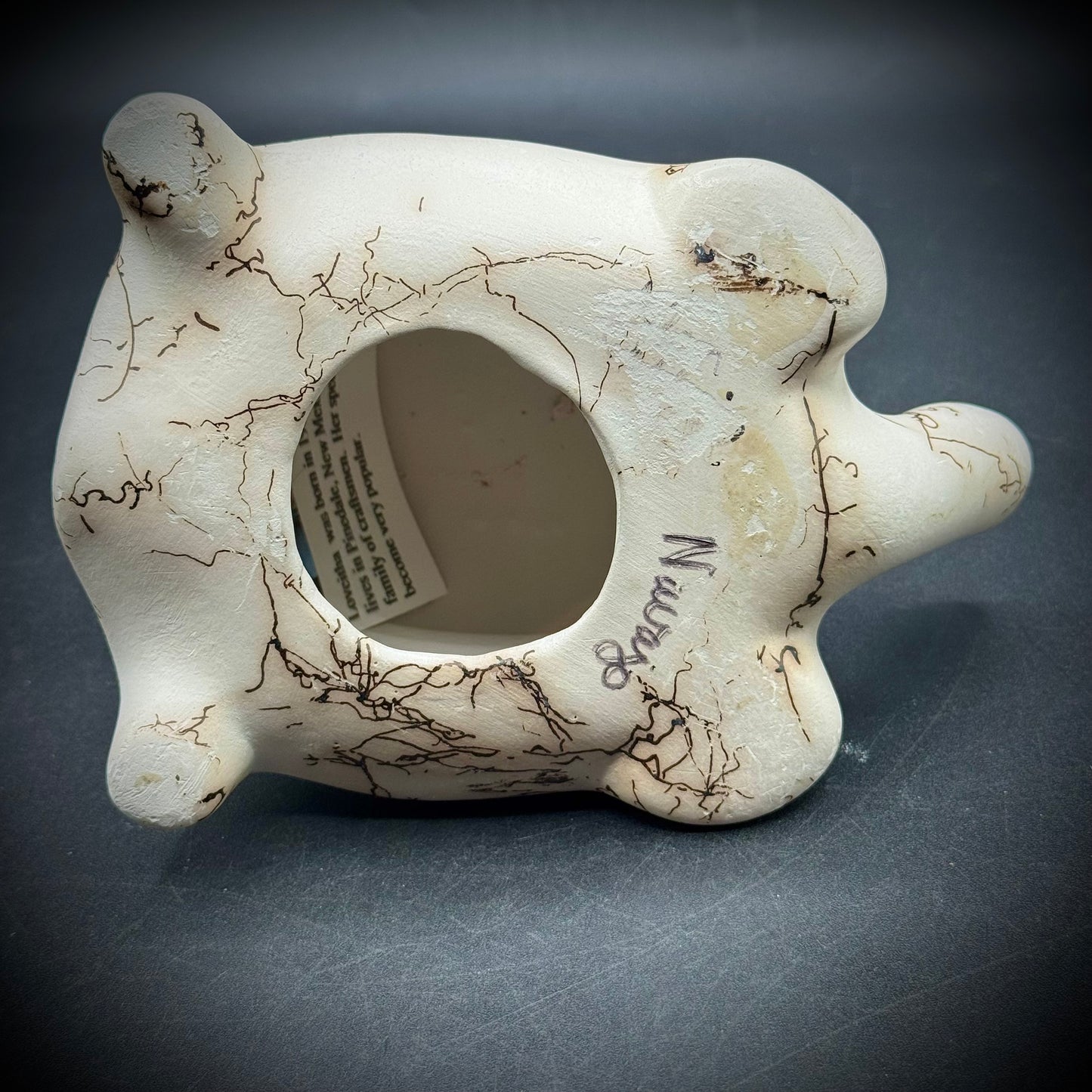 Navajo Artist Loveitha Vail Signed Horse Hair Pottery Turtle