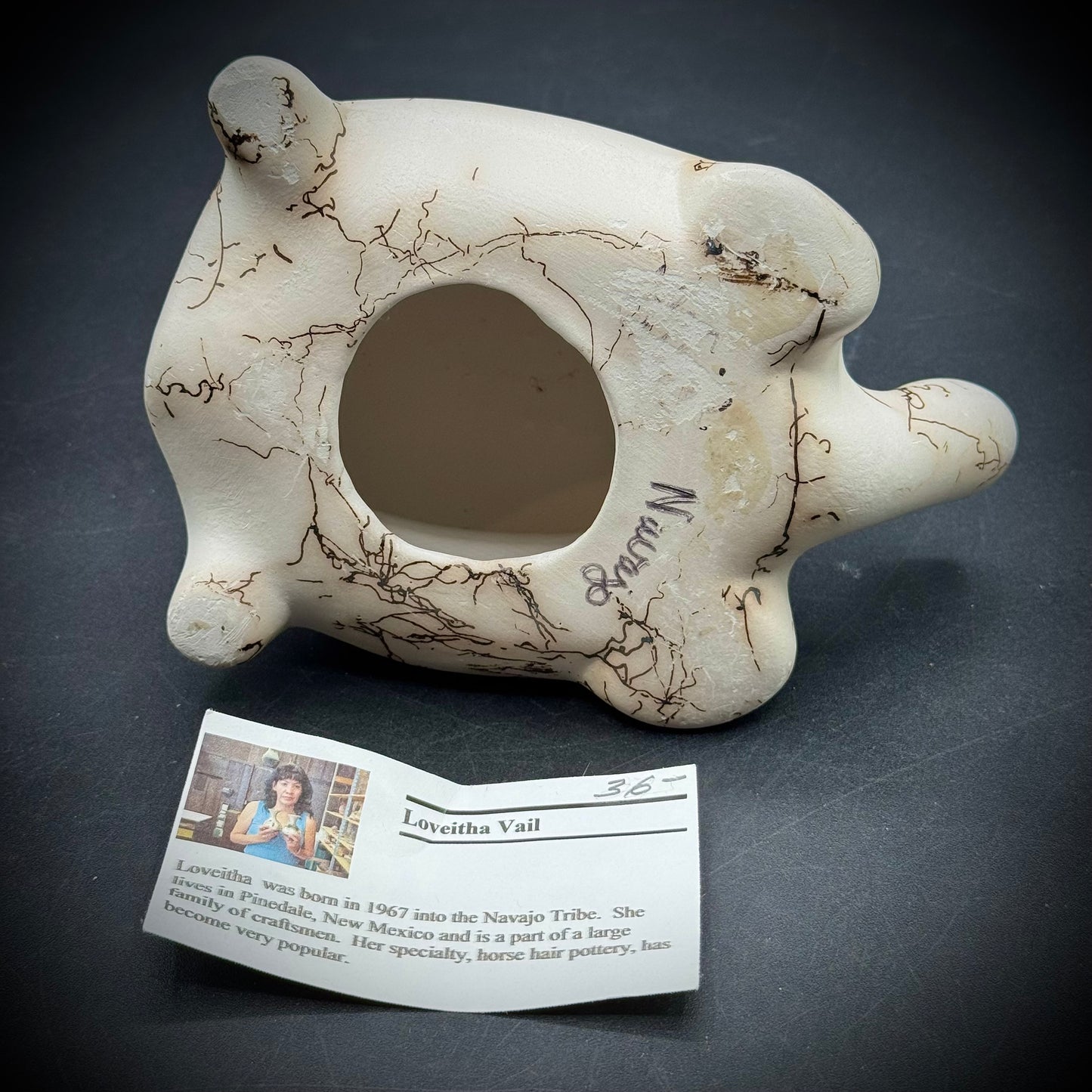 Navajo Artist Loveitha Vail Signed Horse Hair Pottery Turtle