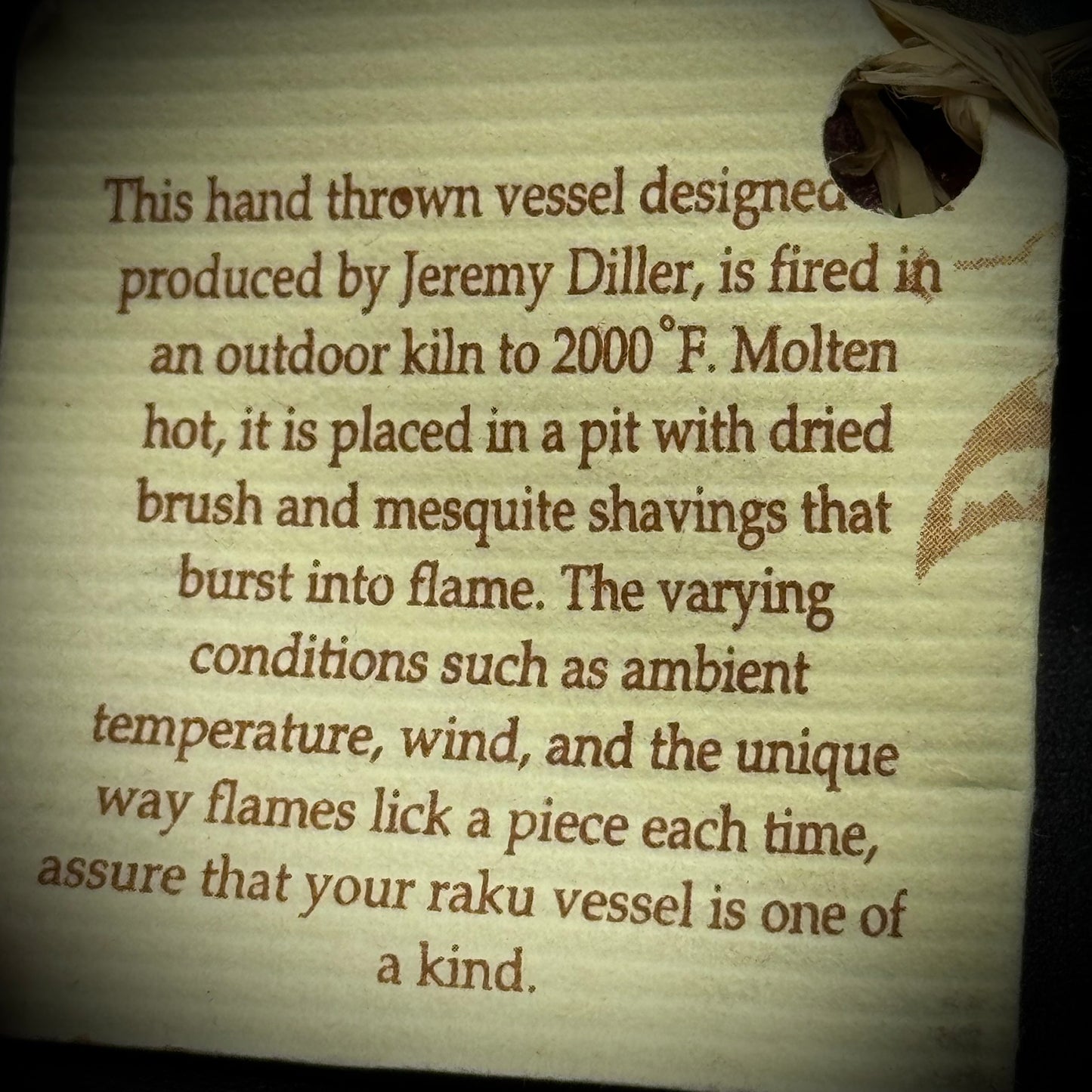 Artist Jeremy Diller Signed Raku Pottery Turtle