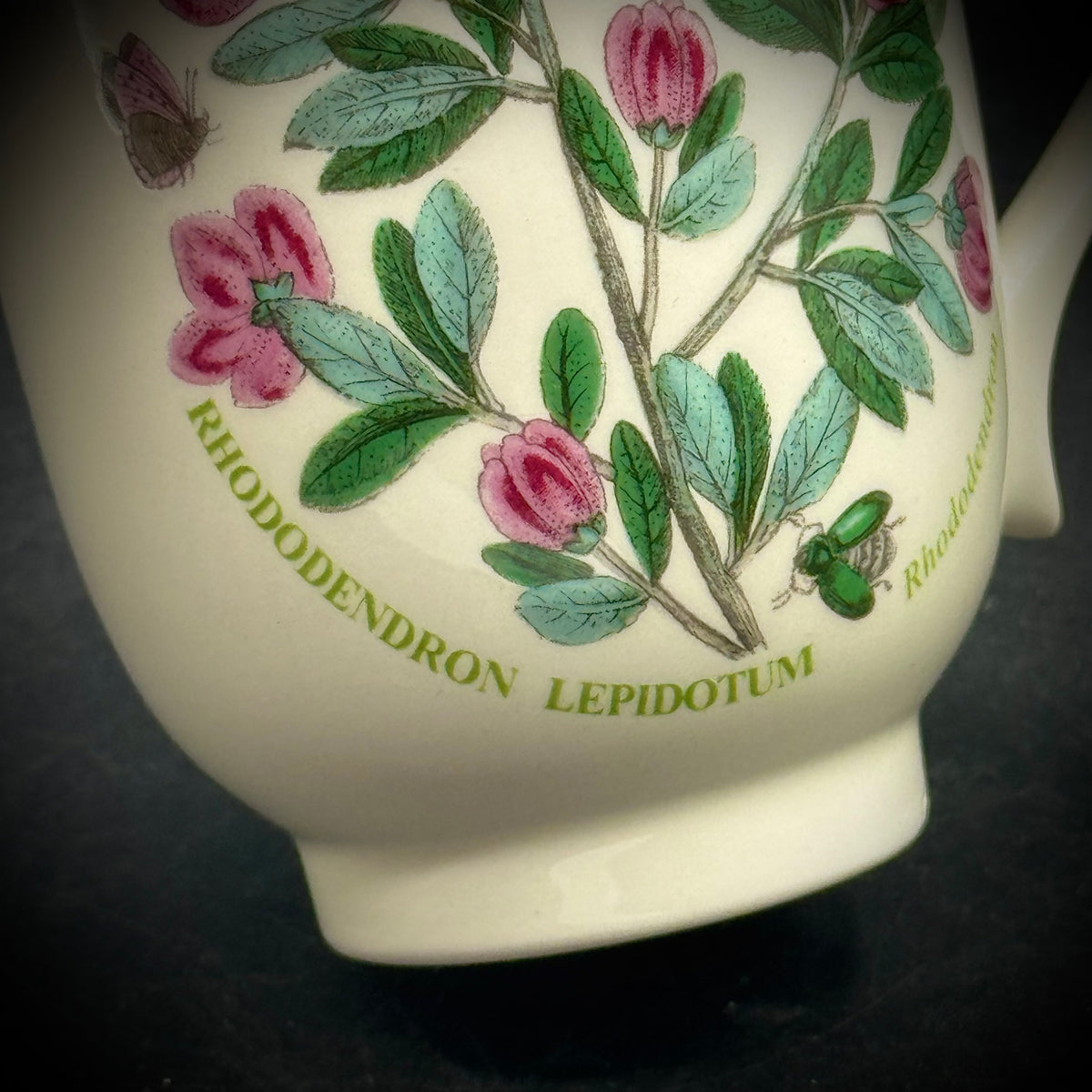 Portmeirion The Botanic Garden Flower Coffee Mug
