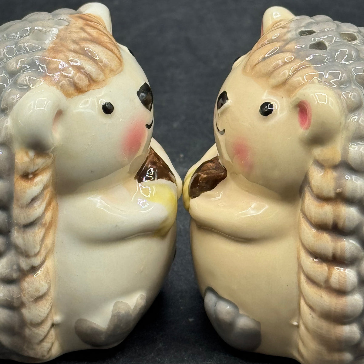 Adorable Hedgehog S&P Set