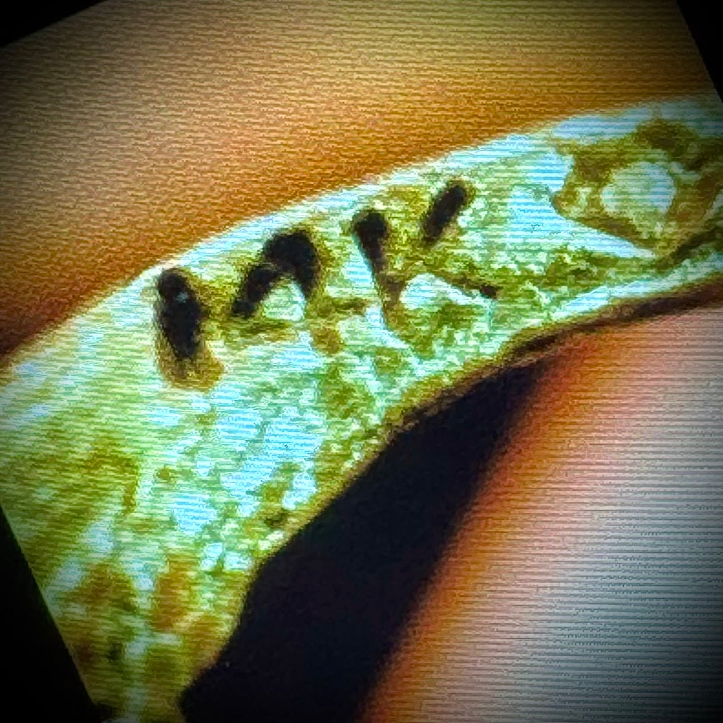 New 14kt Gold Unicorn Charm