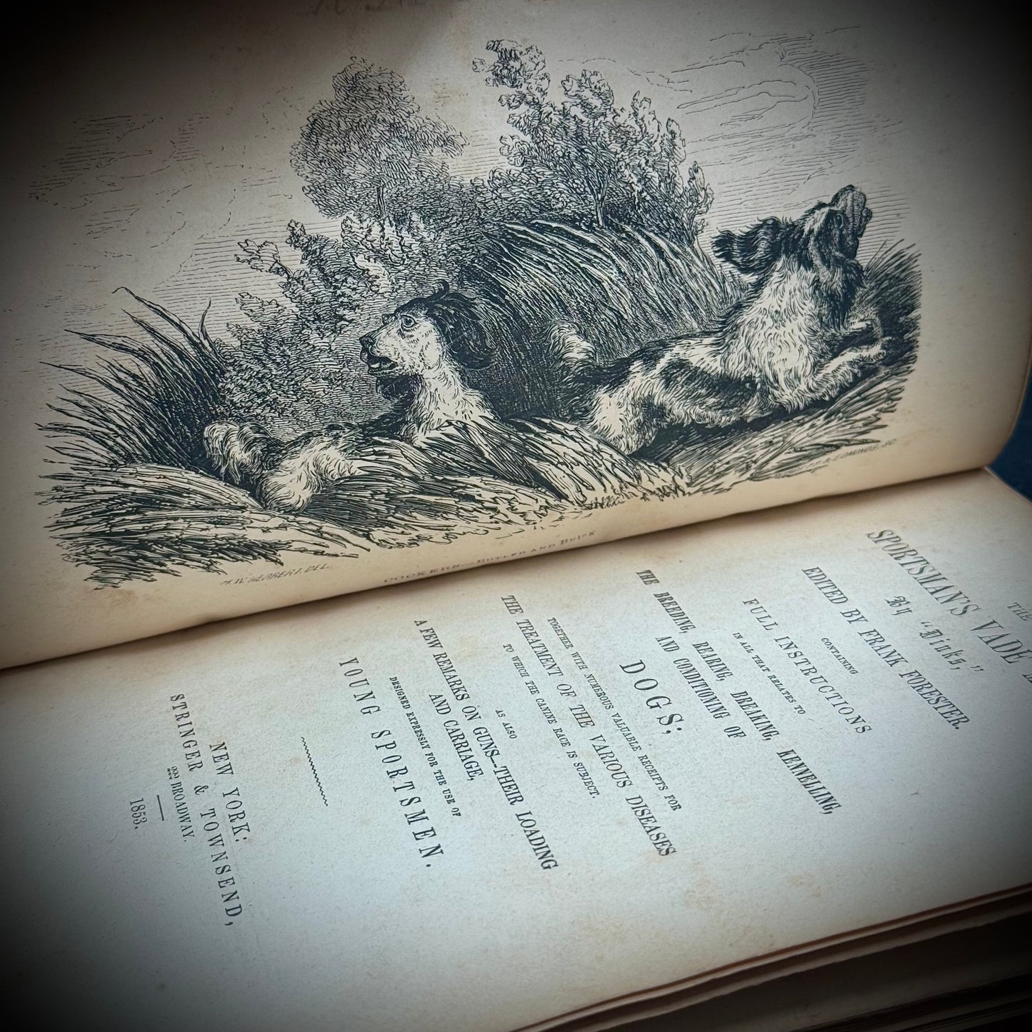 RARE 1853 Antiquarian Book "Dinks on Dogs" Edited by Frank Forester