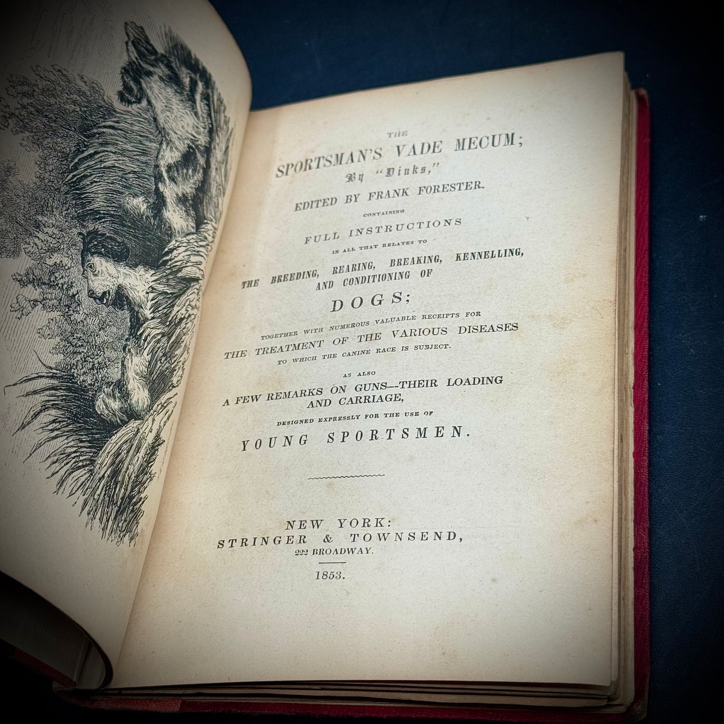 RARE 1853 Antiquarian Book "Dinks on Dogs" Edited by Frank Forester