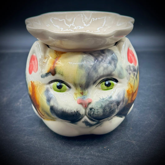 Adorable & Whimsical Cat Face Planter with Removable Insert