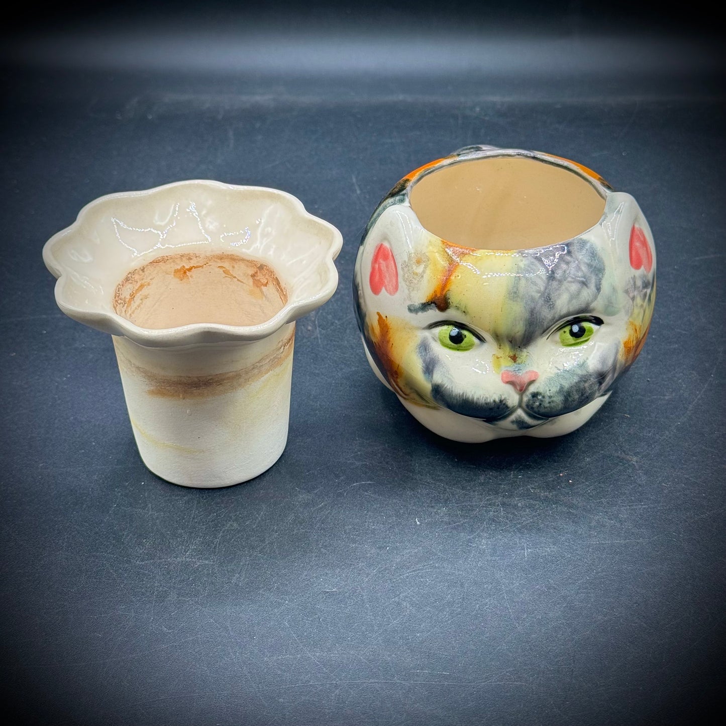 Adorable & Whimsical Cat Face Planter with Removable Insert