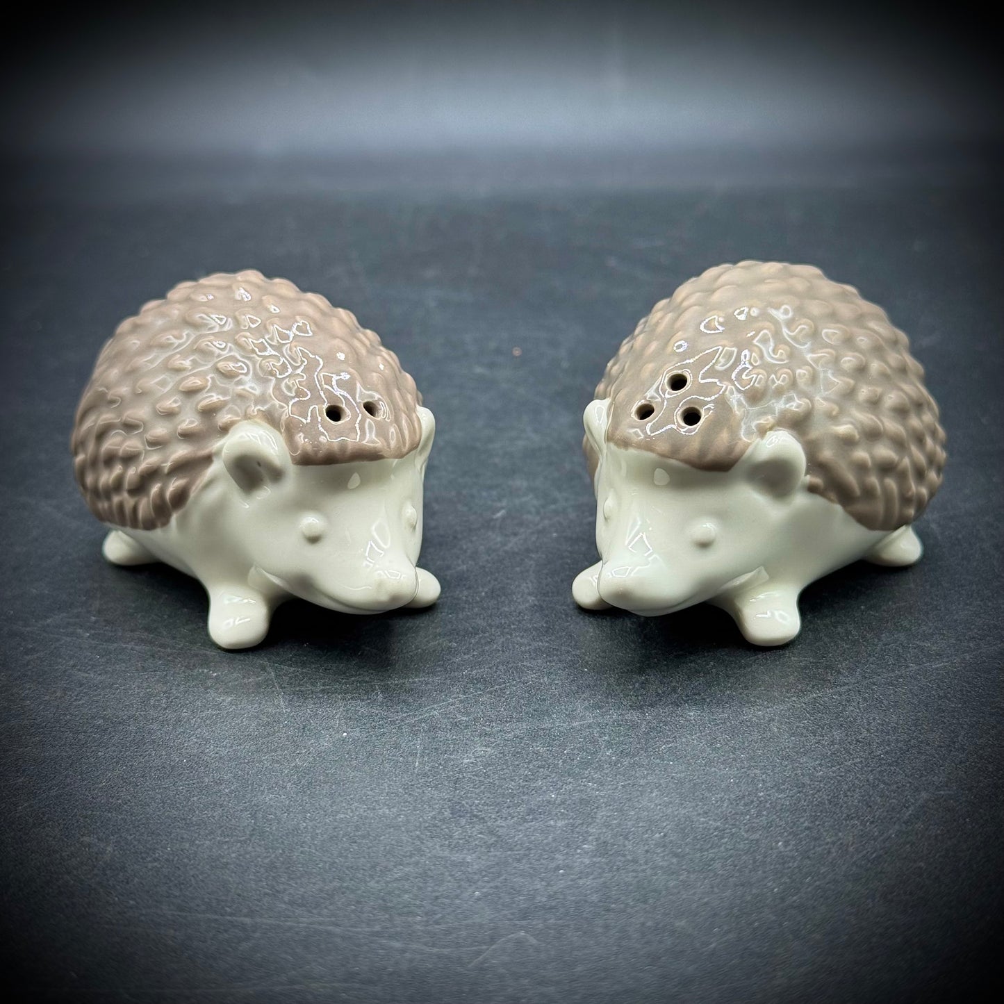 Adorable Ceramic Hedgehog S&P Set
